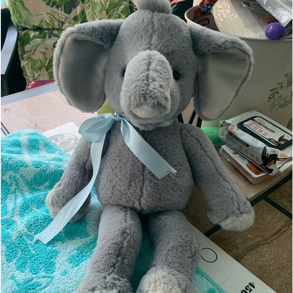 Elephant - Picture 8 of 8